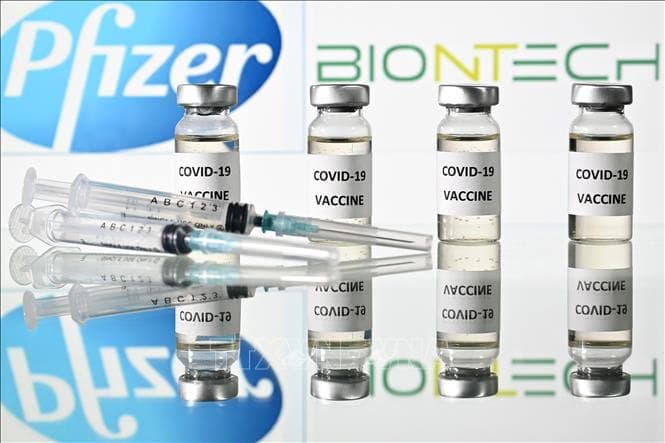 WHO phê chuẩn lưu hành khẩn cấp vaccine Pfizer/BioNTech