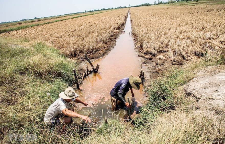 Agribank hỗ trợ khách hàng bị ảnh hưởng bởi hạn hán, xâm nhập mặn