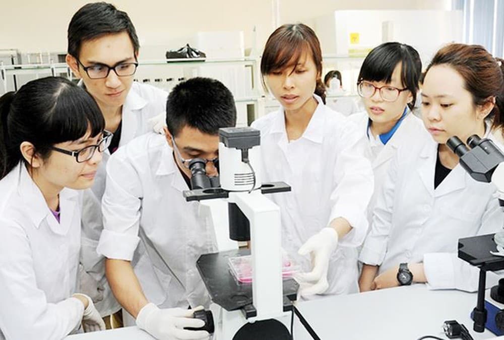 Trí thức Việt Nam trong sự nghiệp phát triển đất nước