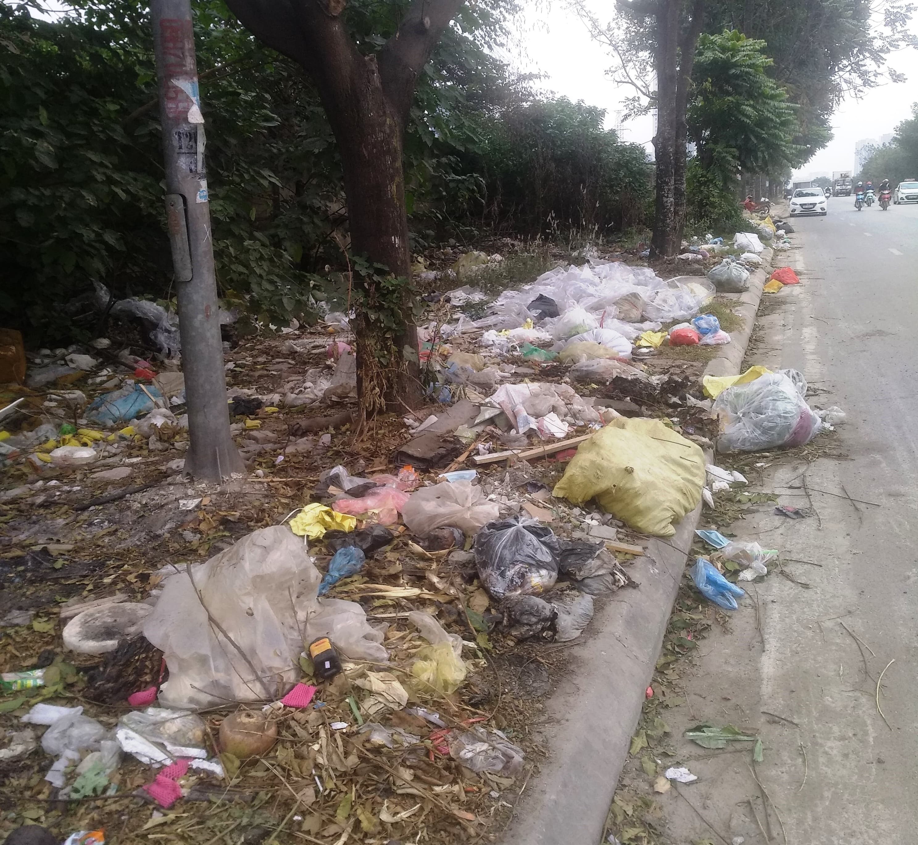 Nhếch nhác vì rác thải