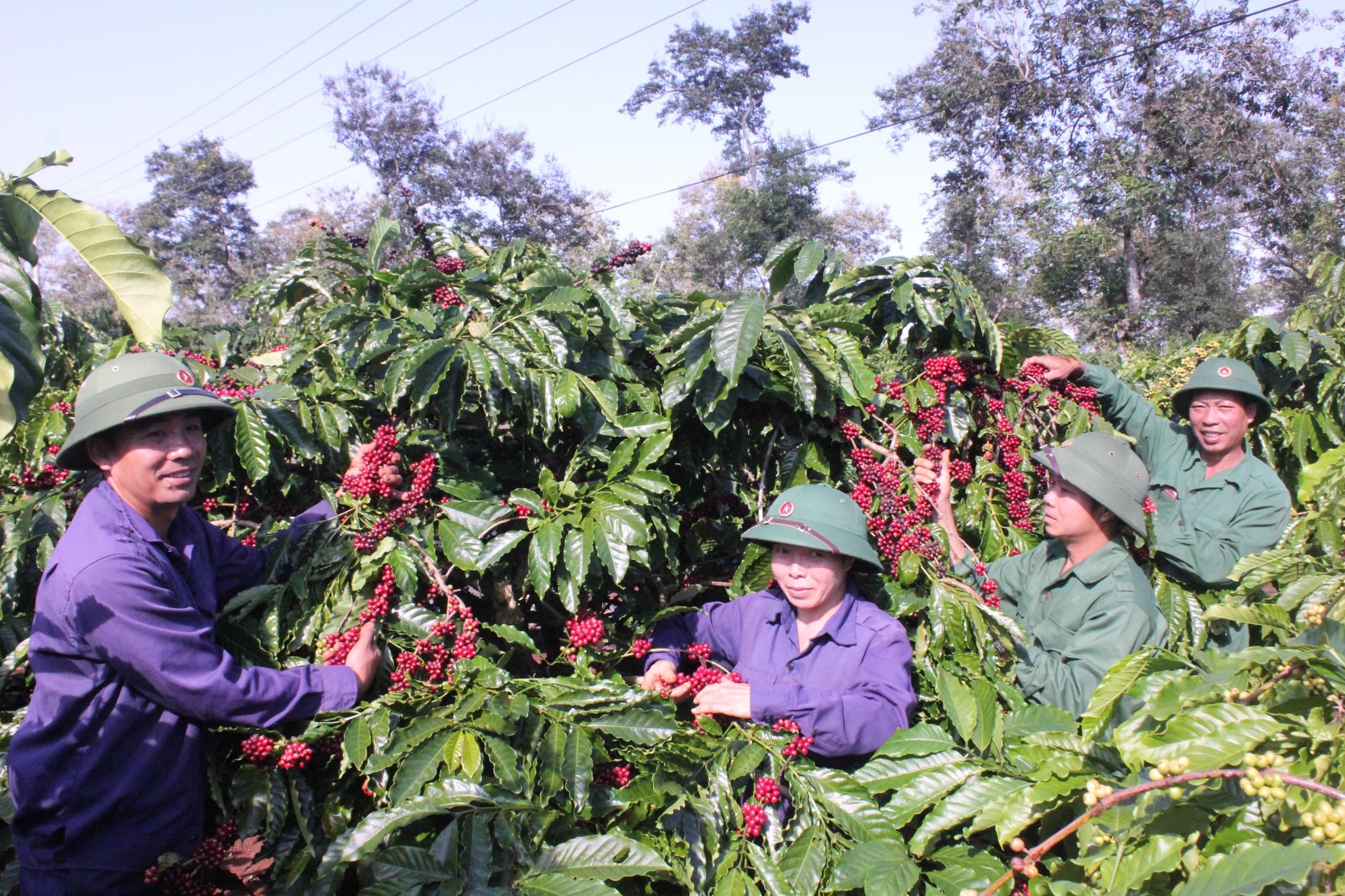 "Tiếp sức" cho đồng bào Tây Nguyên no ấm