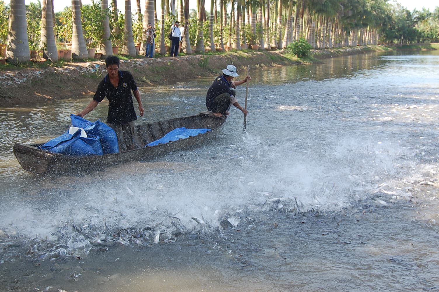 “Thuận thiên” để phát triển