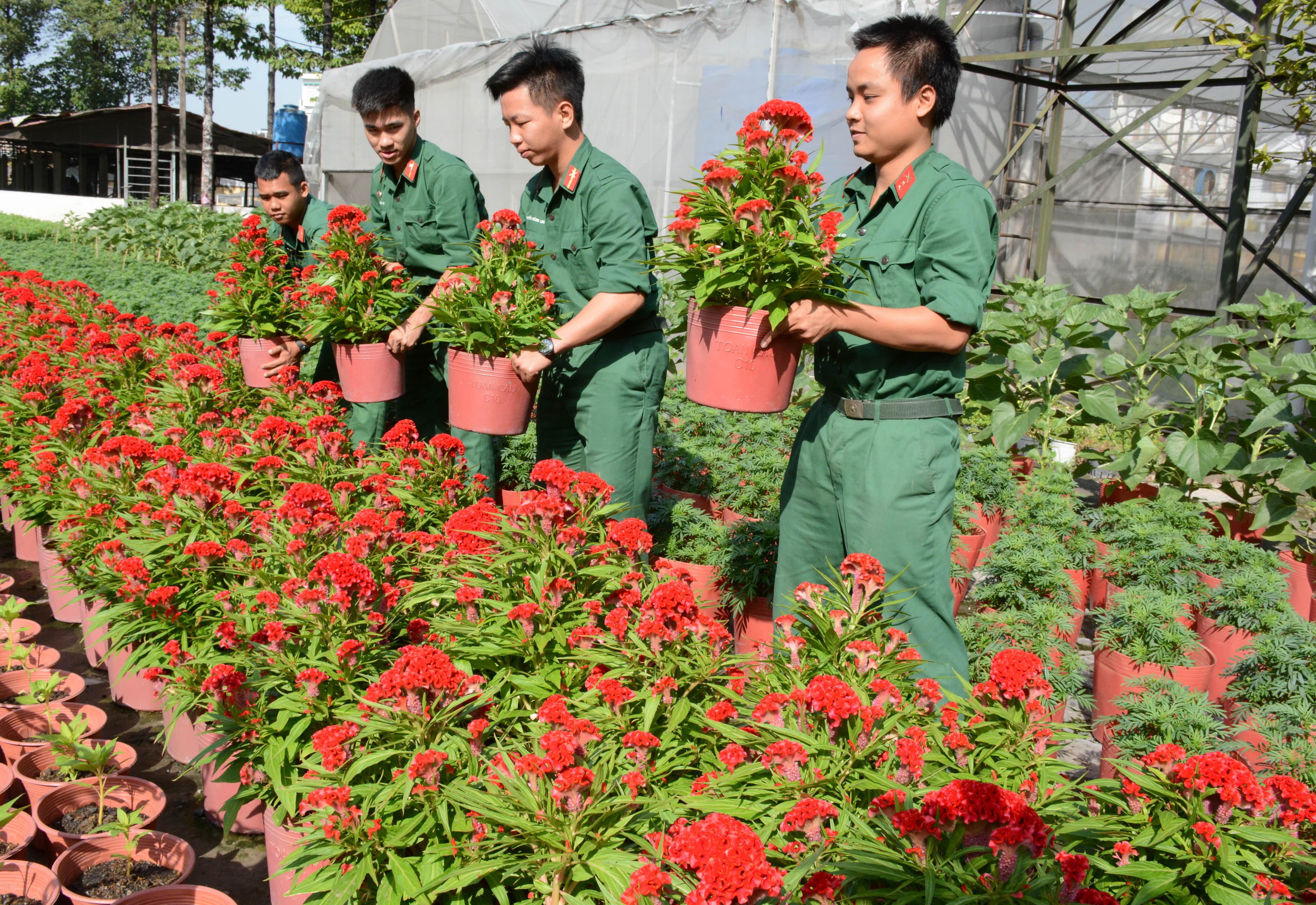 Vui xuân trong tư thế sẵn sàng chiến đấu