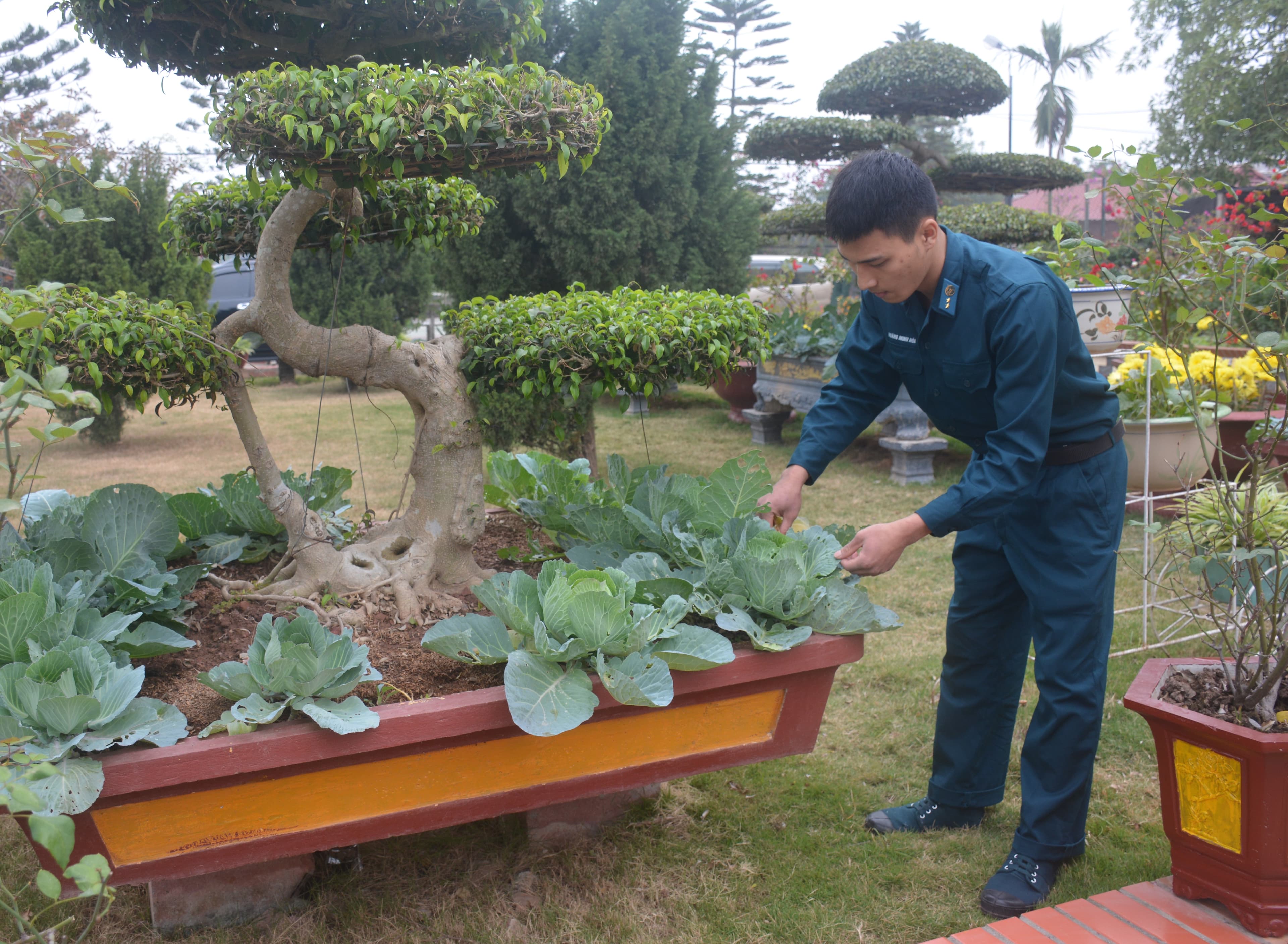 Quyết tâm “không cho đất nghỉ”