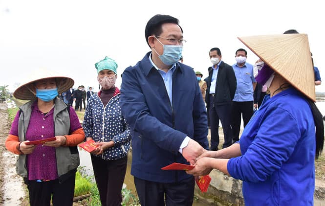 Lãnh đạo Thành phố Hà Nội xuống đồng, động viên bà con nông dân sản xuất