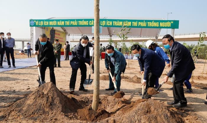 Hà Nội hưởng ứng chương trình trồng 1 tỷ cây xanh