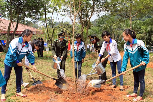 ĐỂ CÓ MỘT TỶ CÂY XANH