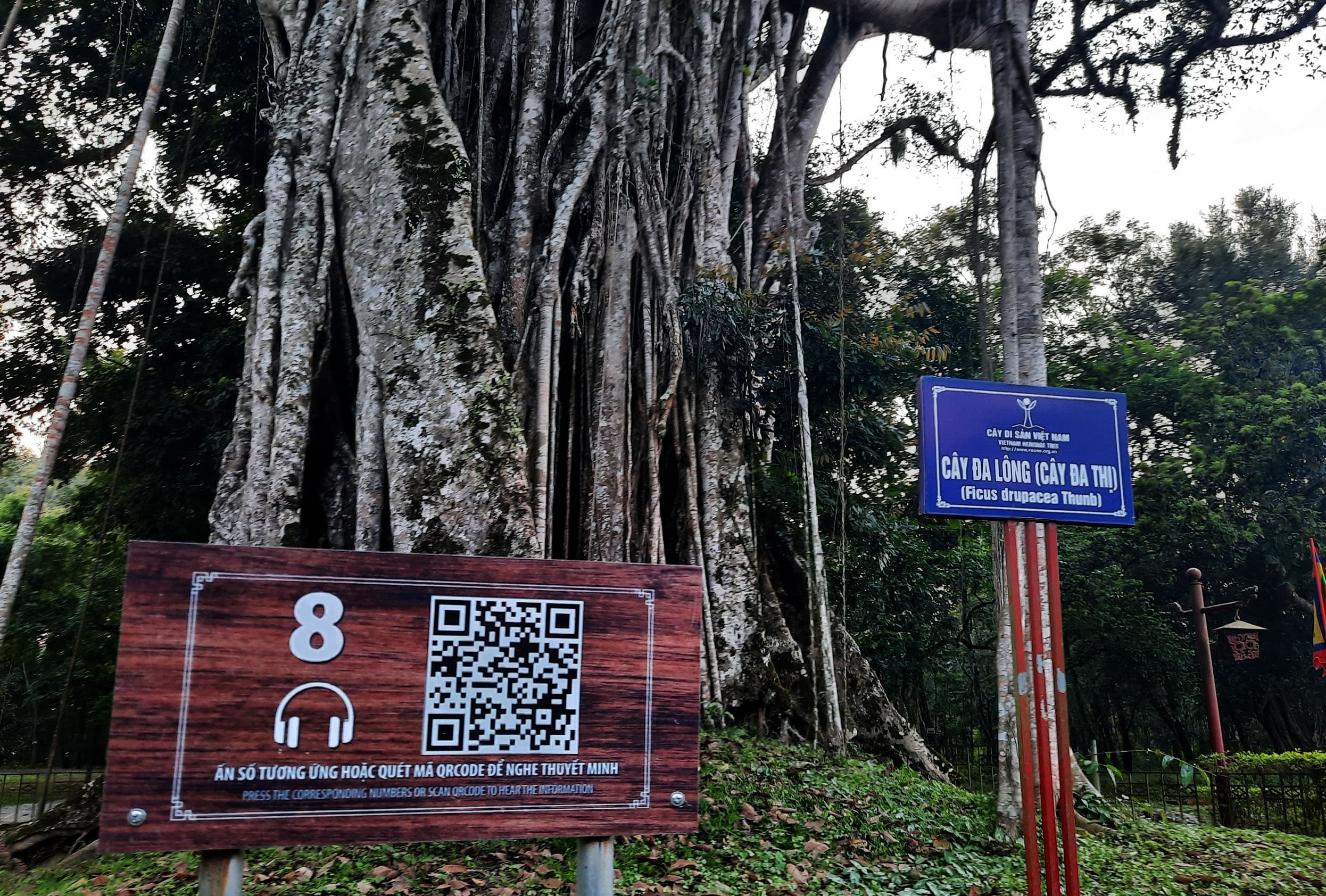 Hiện đại mà... bất tiện!