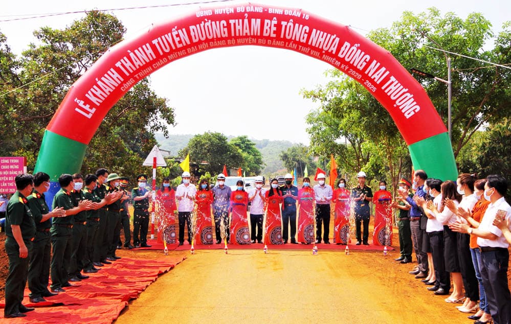 Khánh thành, đưa vào sử dụng tuyến đường giao thông nông thôn