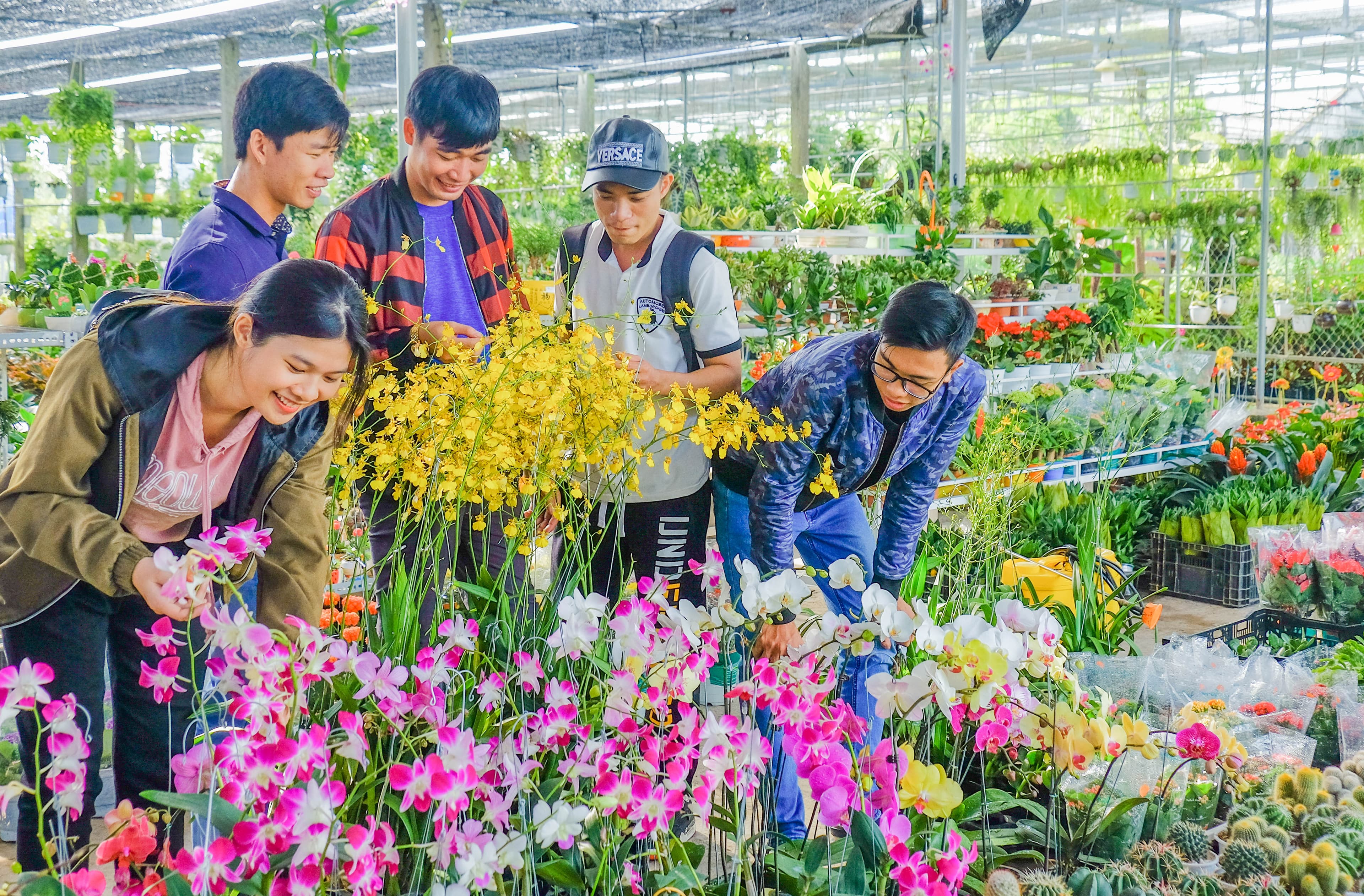 Đất sen hồng vững bước xây dựng nông thôn mới
