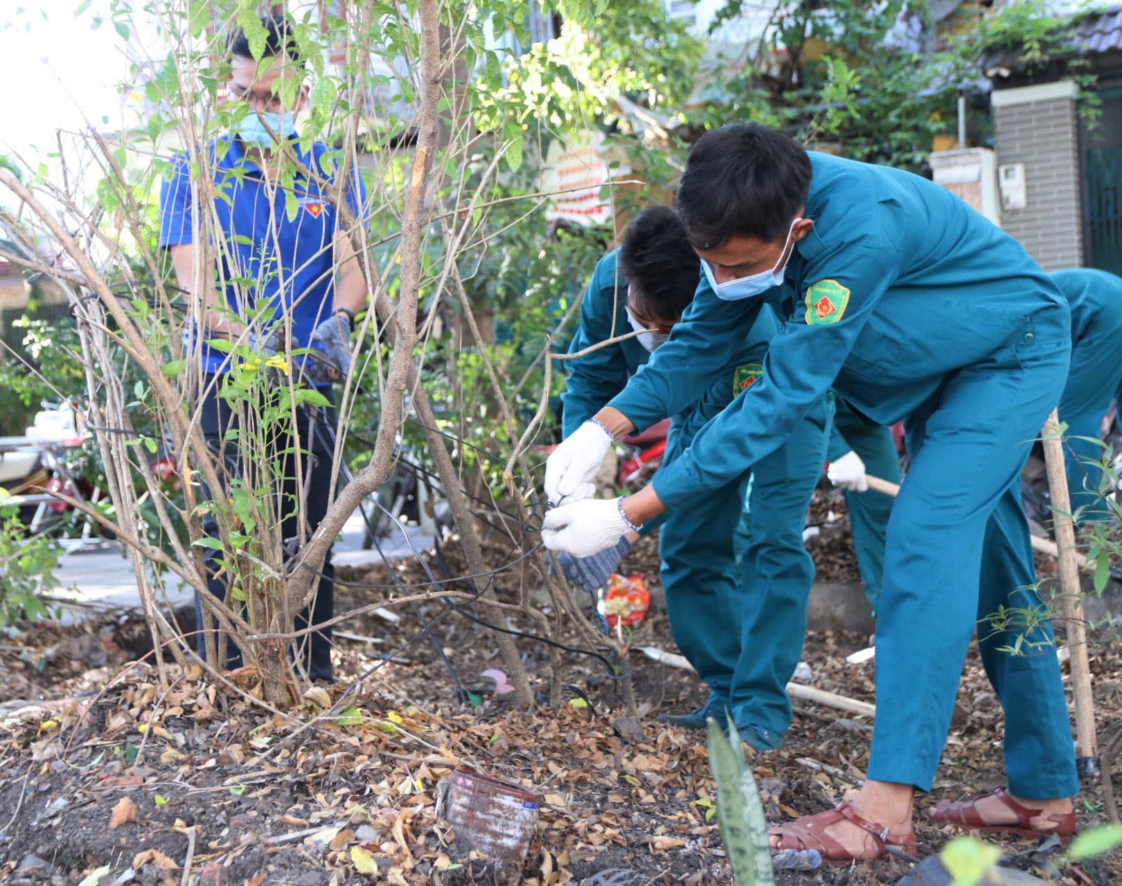 Thêm sáng đẹp từ bàn tay tuổi trẻ