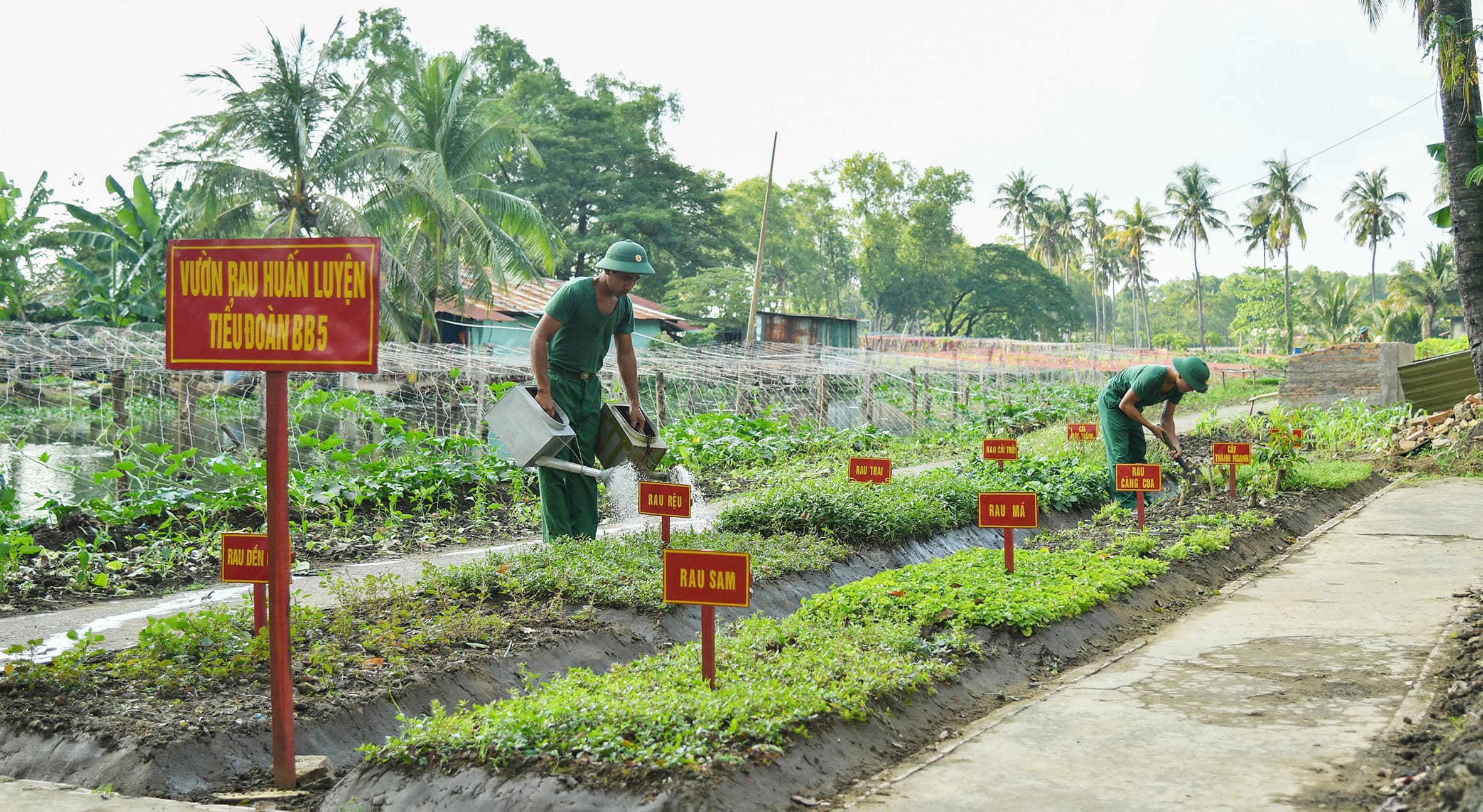 "Vườn rau huấn luyện"