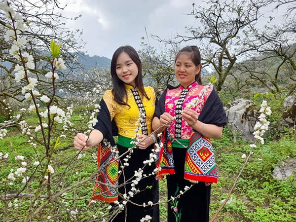 "Chiếc khăn Piêu, thêu chỉ hồng, để gió cuốn, bay về đâu...!"
