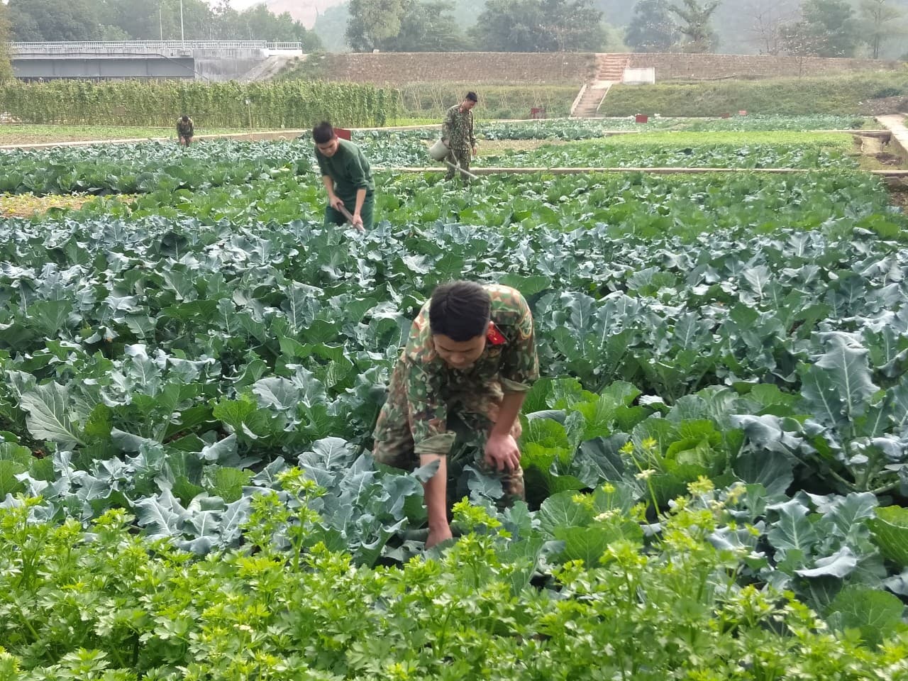 Làm nhiệm vụ xa, vẫn tăng gia giỏi