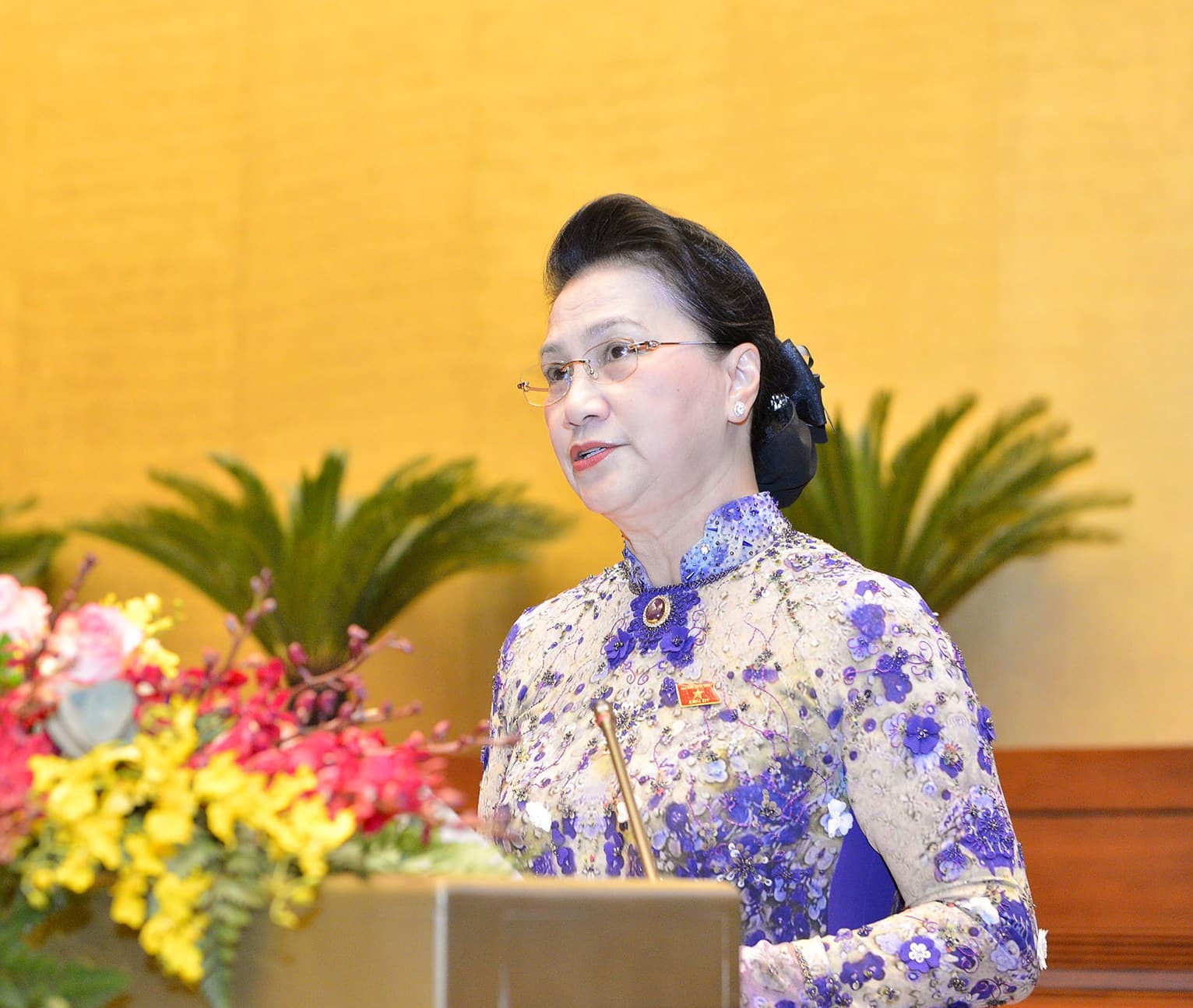 Phát biểu của Chủ tịch Quốc hội Nguyễn Thị Kim Ngân khai mạc Kỳ họp thứ 11, Quốc hội Khóa XIV