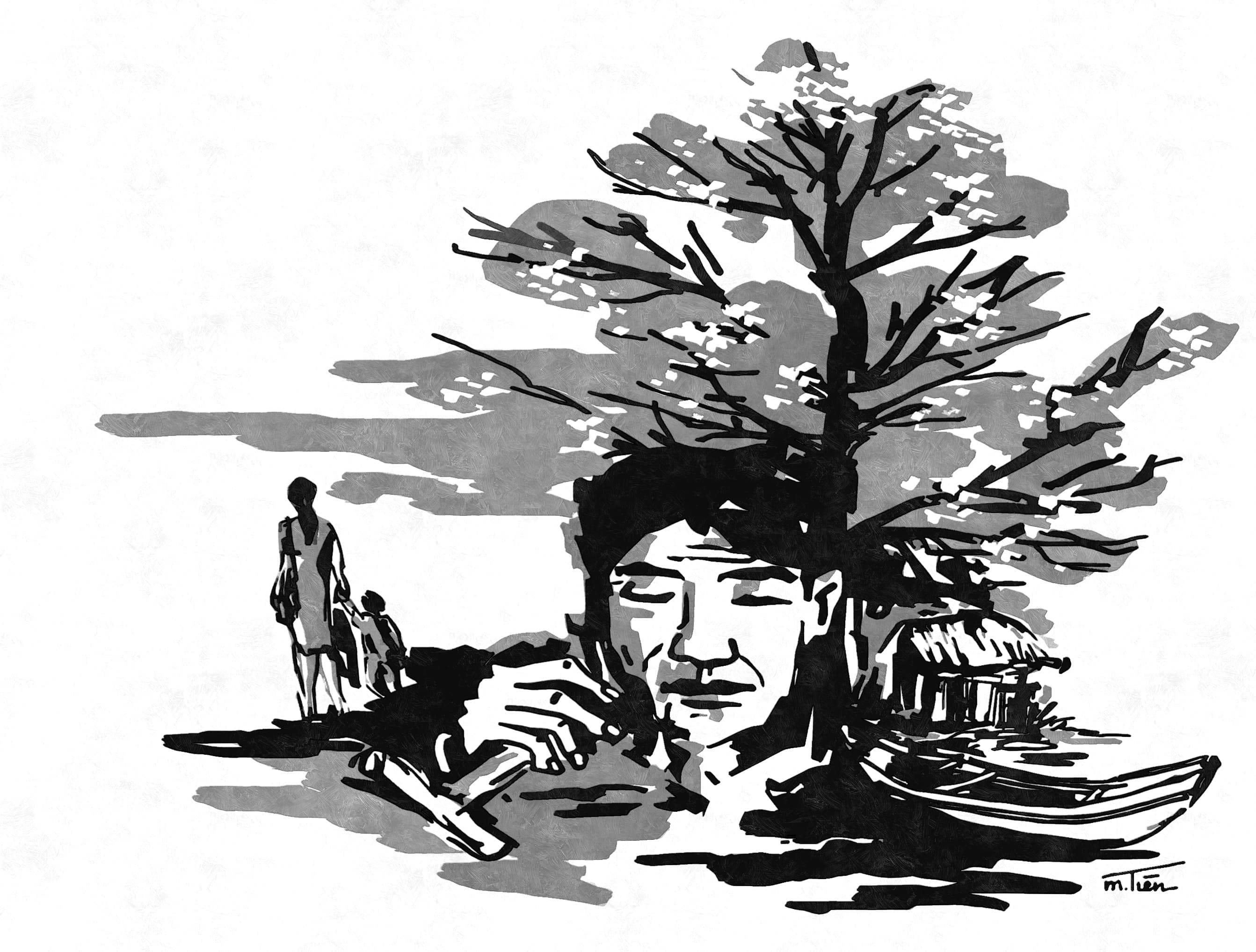Mùa bông gòn nở