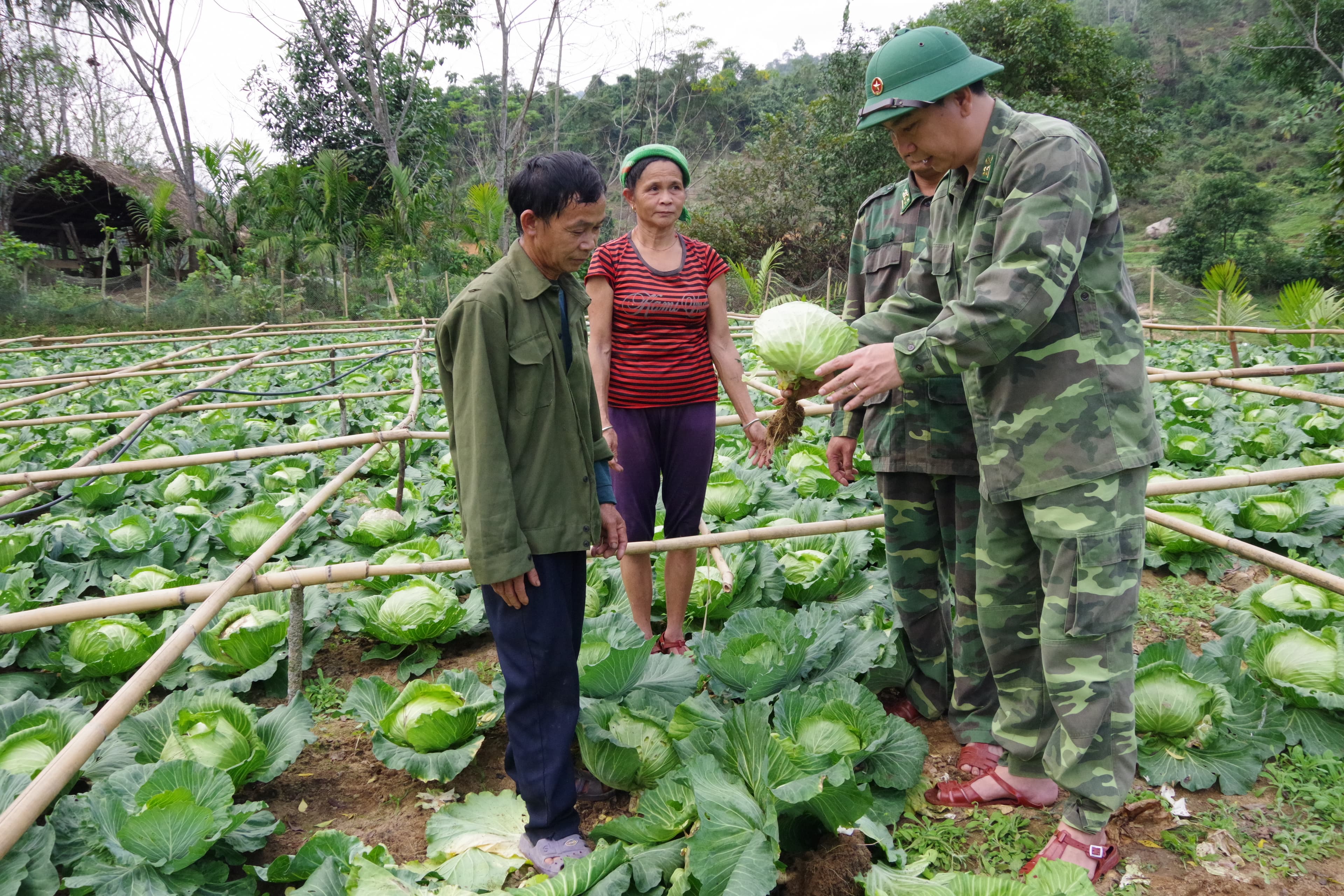 Thoát nghèo từ mô hình làm vườn đa canh