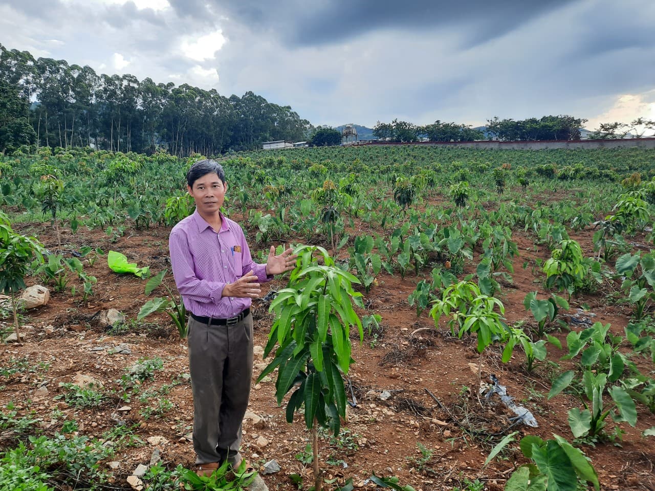 Để sản xuất ở vùng nông thôn, miền núi phát triển