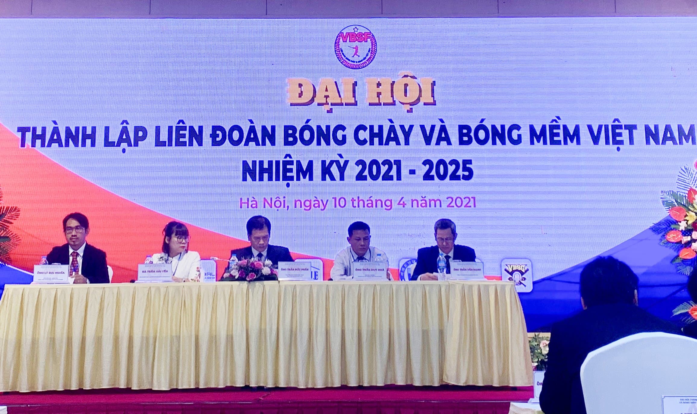 Thành lập Liên đoàn Bóng chày và Bóng mềm Việt Nam