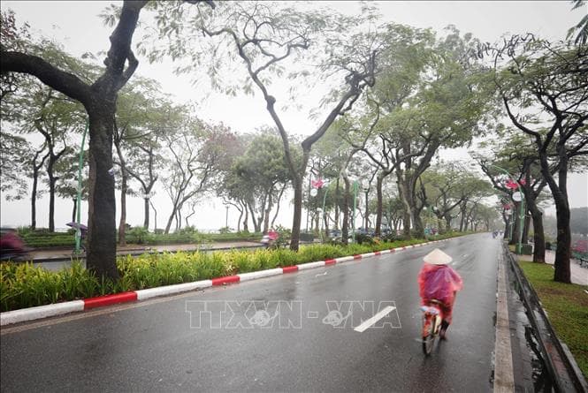 Khu vực Bắc Bộ, Bắc Trung Bộ tiếp tục mưa dông