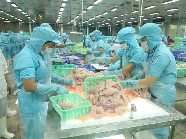 Cần thúc đẩy thực hành kinh doanh có trách nhiệm tại Việt Nam