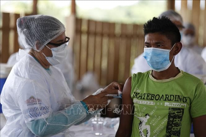 Brazil sắp có vaccine tự nghiên cứu và sản xuất