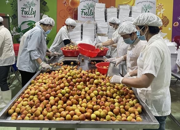 Dồn lực hỗ trợ Bắc Giang tiêu thụ vải thiều