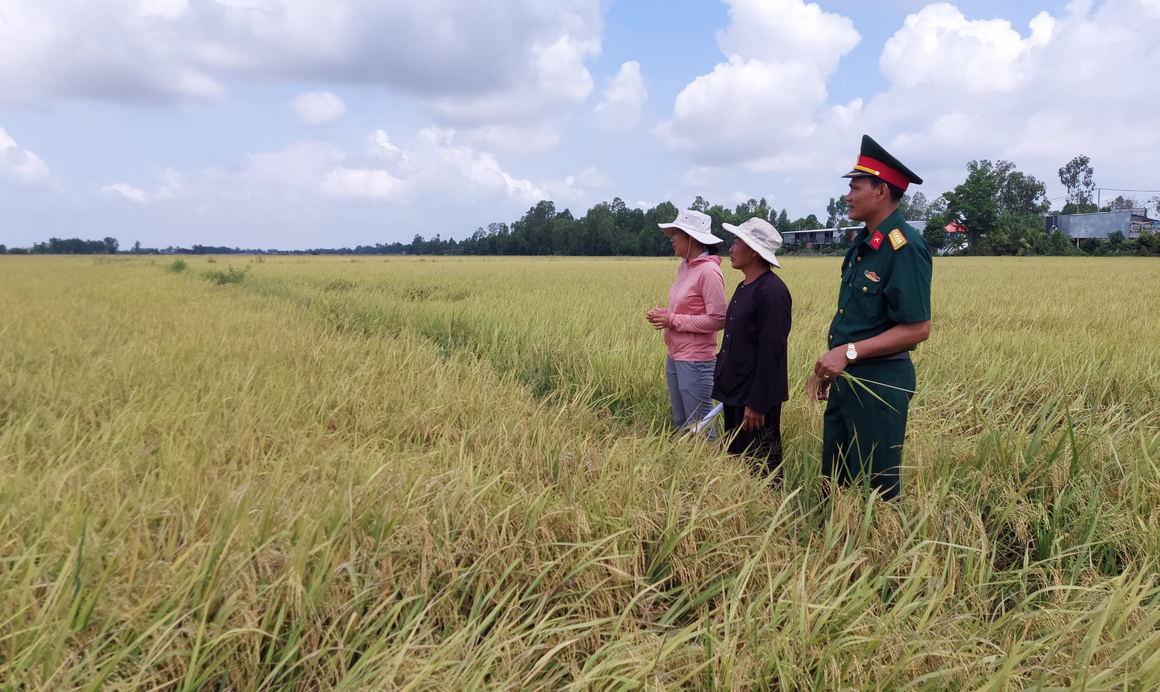 Ổn định đời sống người dân vùng dự án
