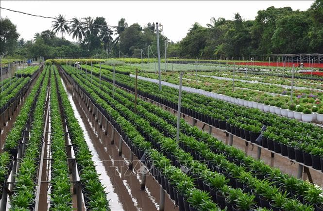 Đồng Tháp phấn đấu cải thiện môi trường đầu tư, kinh doanh