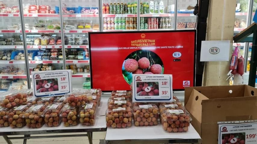 Vải thiều Thanh Hà được bán với giá nửa triệu đồng/kg tại Pháp