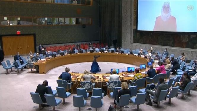 Việt Nam kêu gọi duy trì hỗ trợ nhân đạo cho Syria