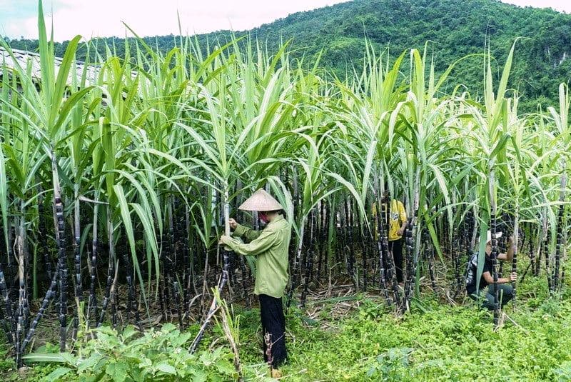 6 tháng đầu năm, nền kinh tế duy trì mức tăng trưởng 5,64%