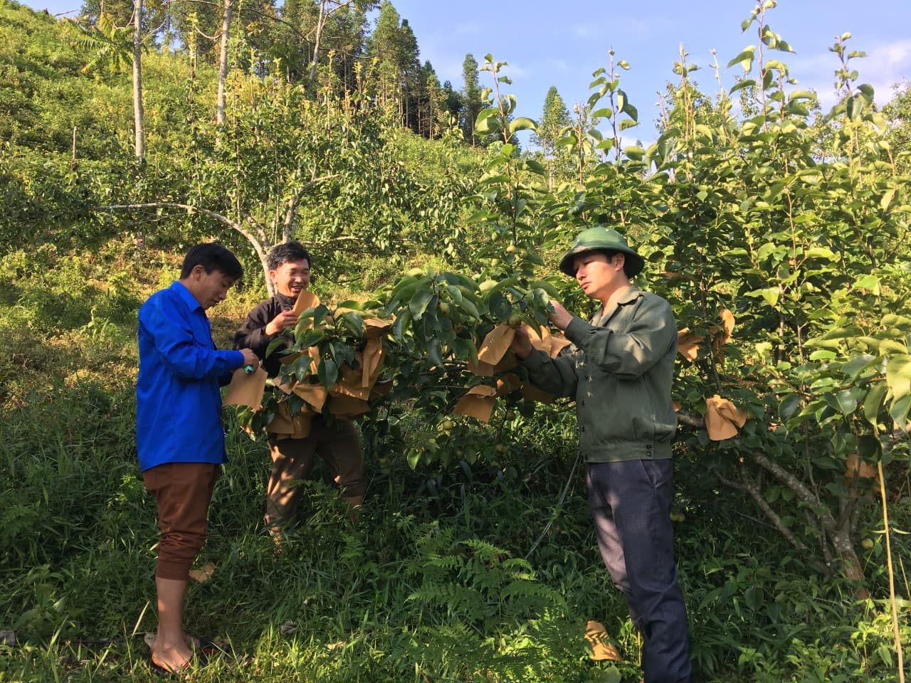 Sắc nắng nơi "sương mù"