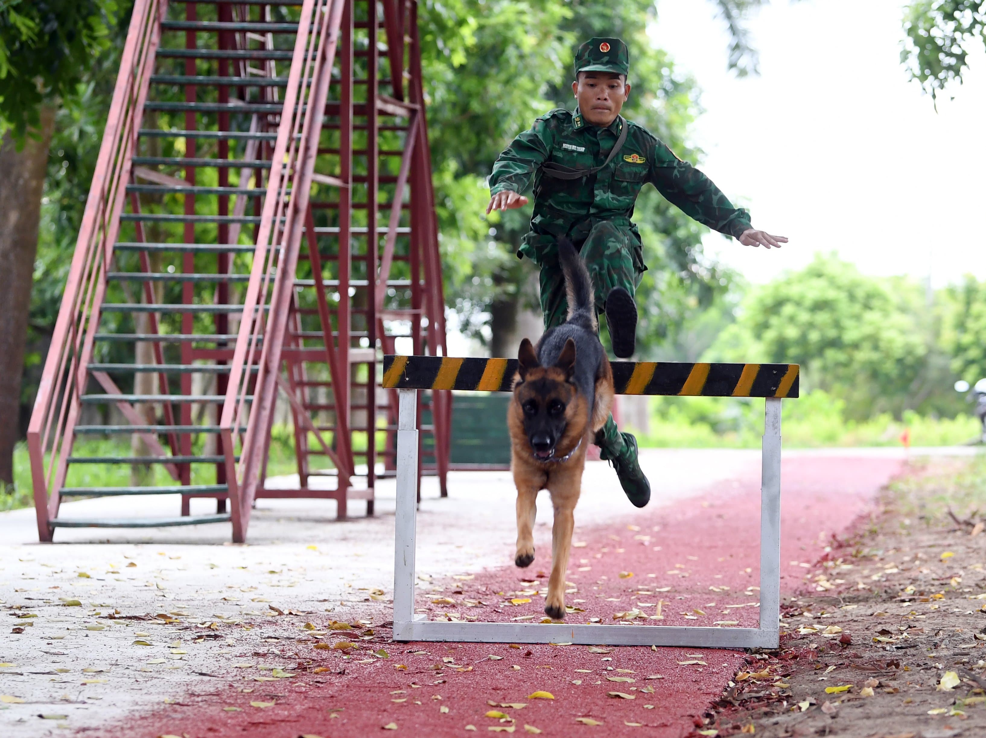 Tự tin thử sức cùng “người bạn trung thành”