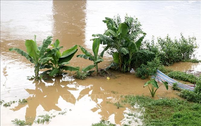 Mưa lớn gây nhiều thiệt hại ở Lào Cai