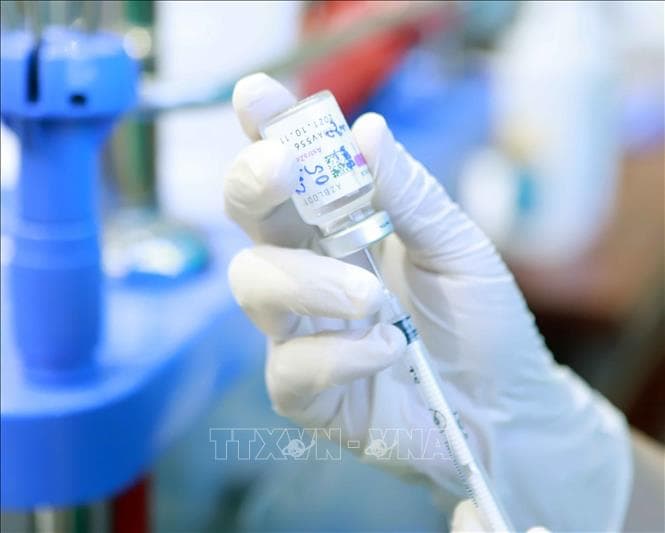 Chính phủ Anh và Chính phủ Séc viện trợ vaccine phòng Covid-19 cho Việt Nam
