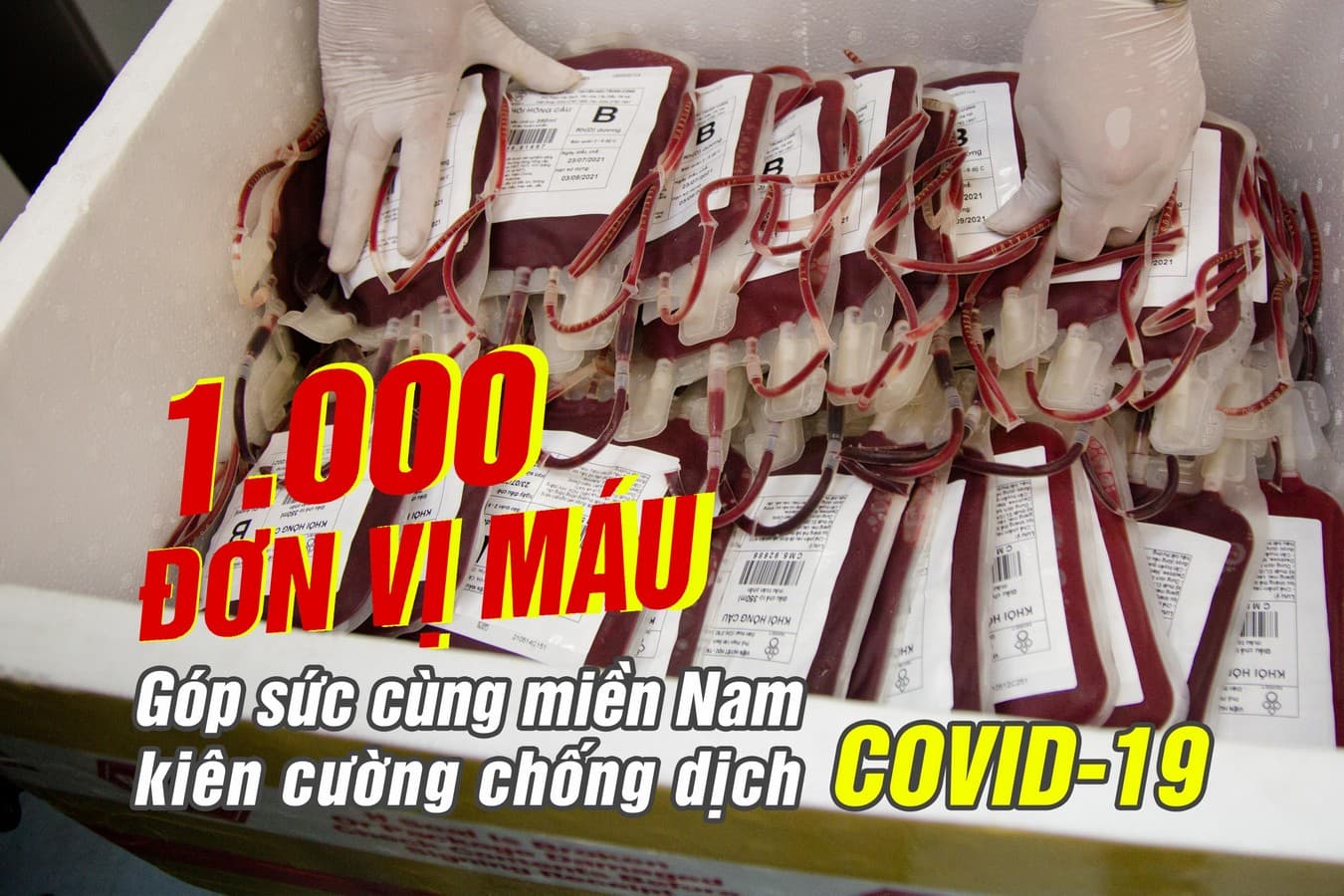 1.000 đơn vị máu "lên đường" trong đêm giúp miền Nam chống dịch