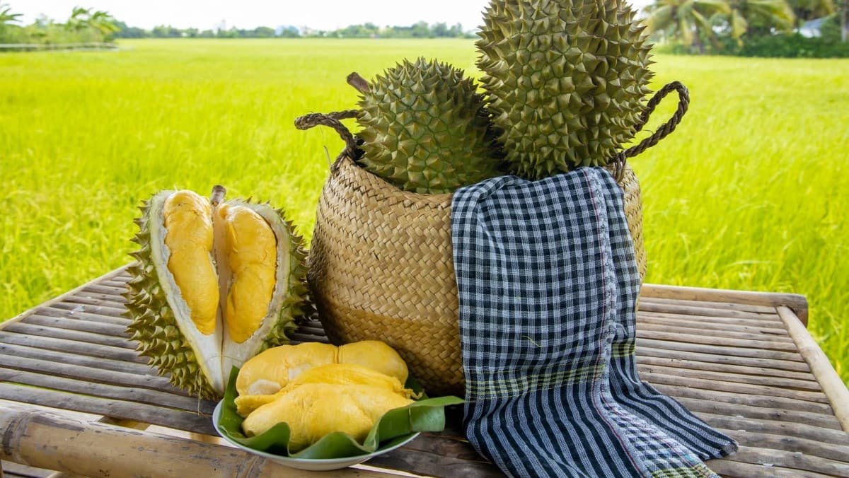 Sầu riêng Việt Nam bán đắt hàng tại Úc