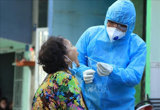 Vai trò người đứng đầu