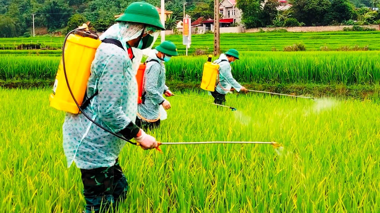 Bộ đội xuống đồng giúp dân ở Sơn La