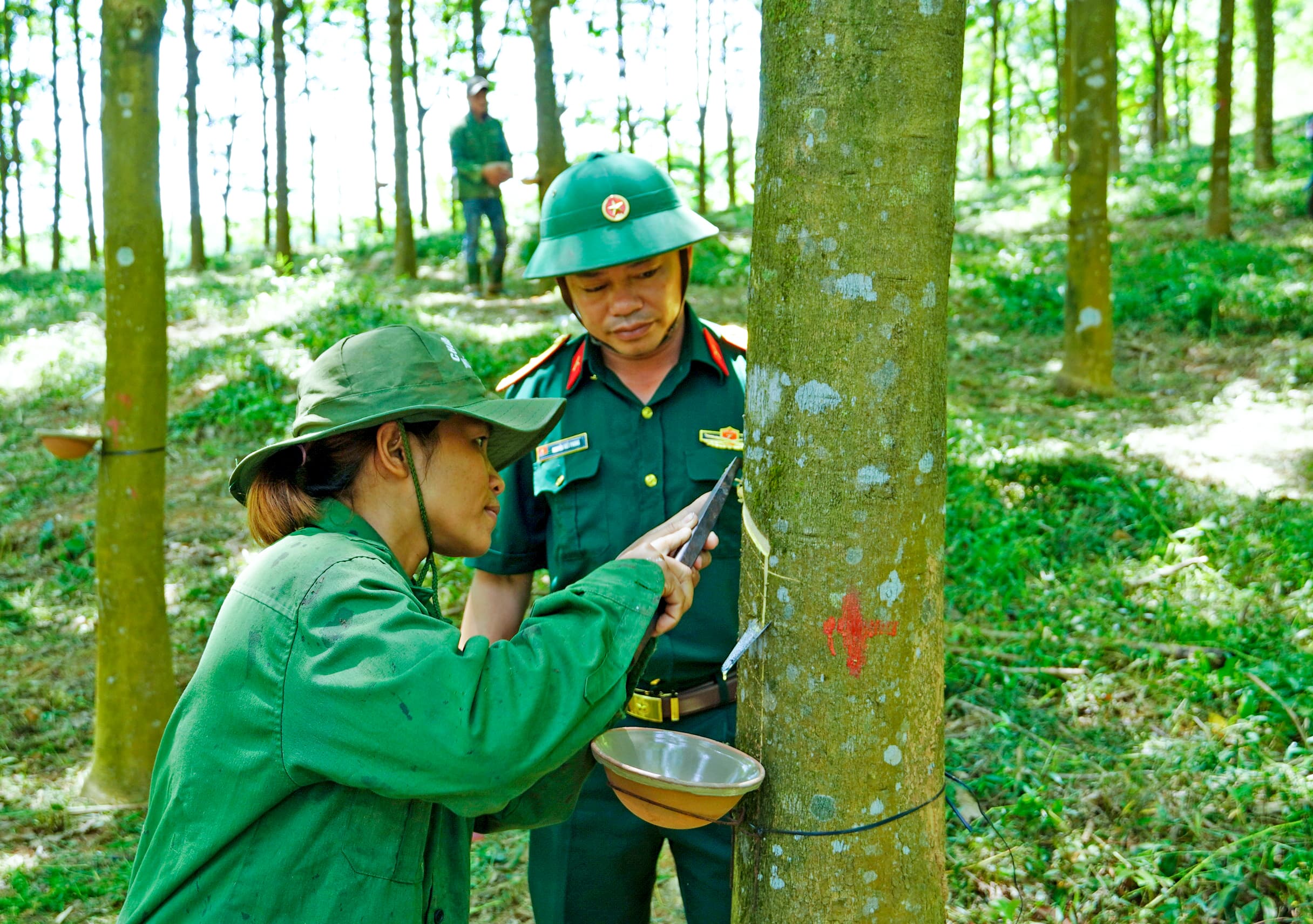 "Điểm tựa" của đồng bào tây nam Quảng Bình