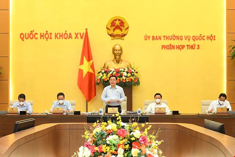 Nghiên cứu kỹ phạm vi sửa đổi của dự án Luật Thống kê