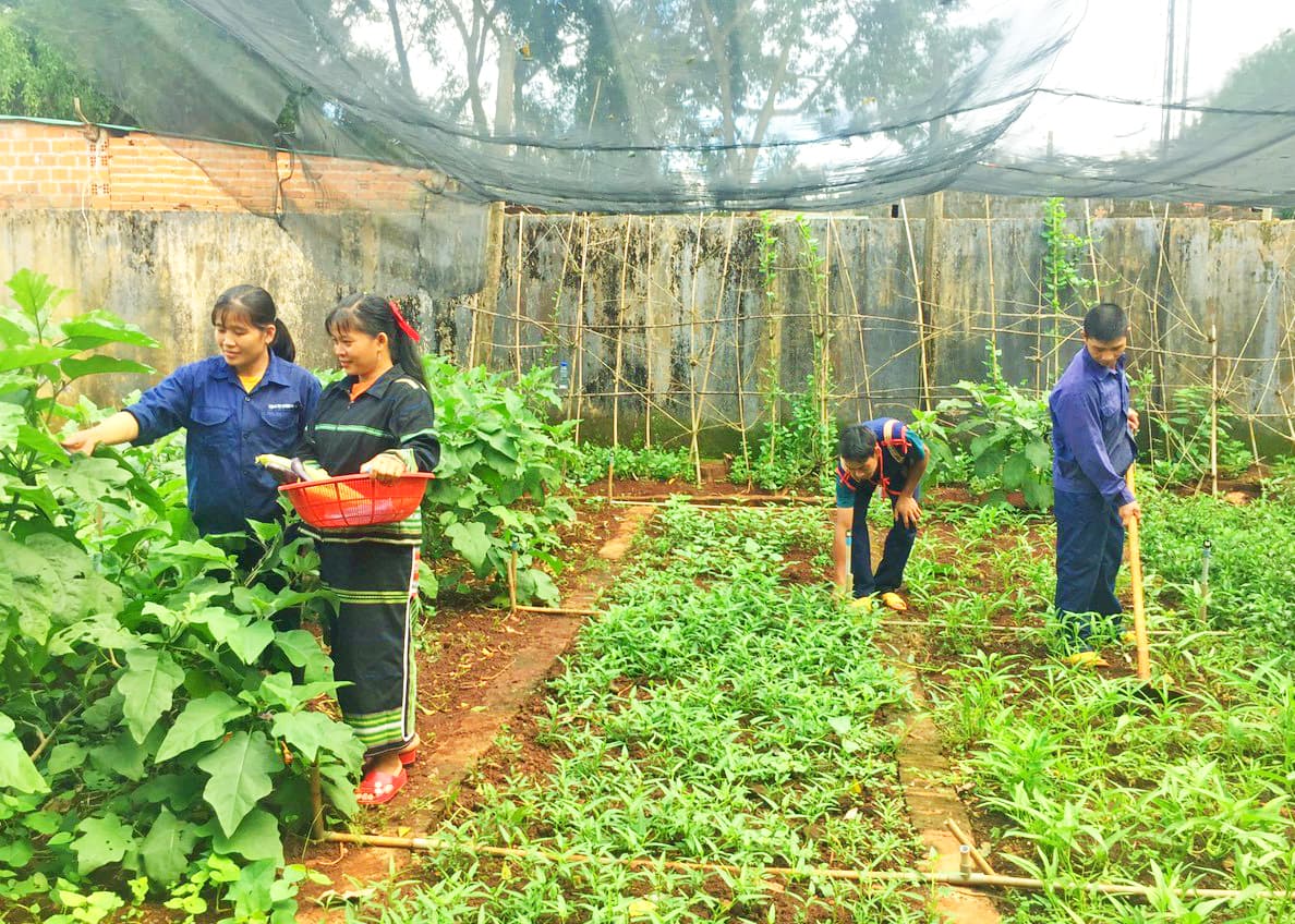 Những mô hình kết nối yêu thương