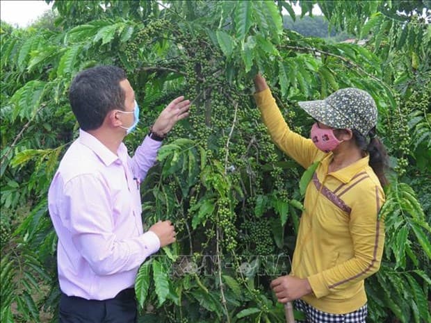 Thay đổi nếp nghĩ, cách làm để thoát nghèo bền vững