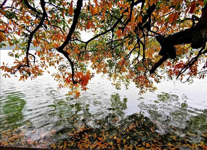 Thu sang