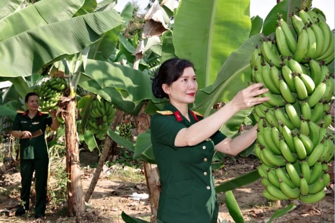 Hiệu quả kép từ mô hình tăng gia