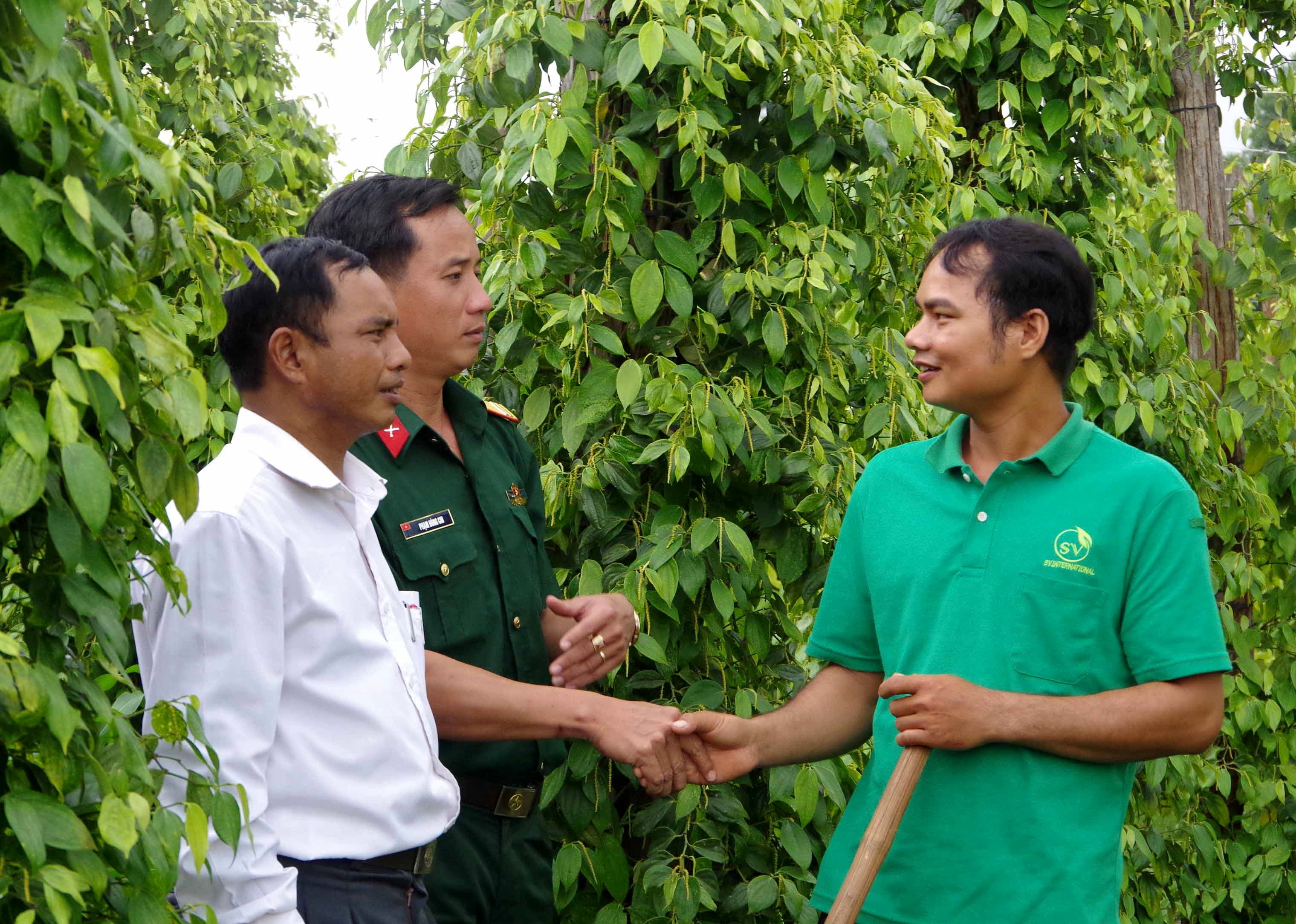 Bài 5: Mệnh lệnh hành động chống "giặc nội xâm" (tiếp theo và hết)