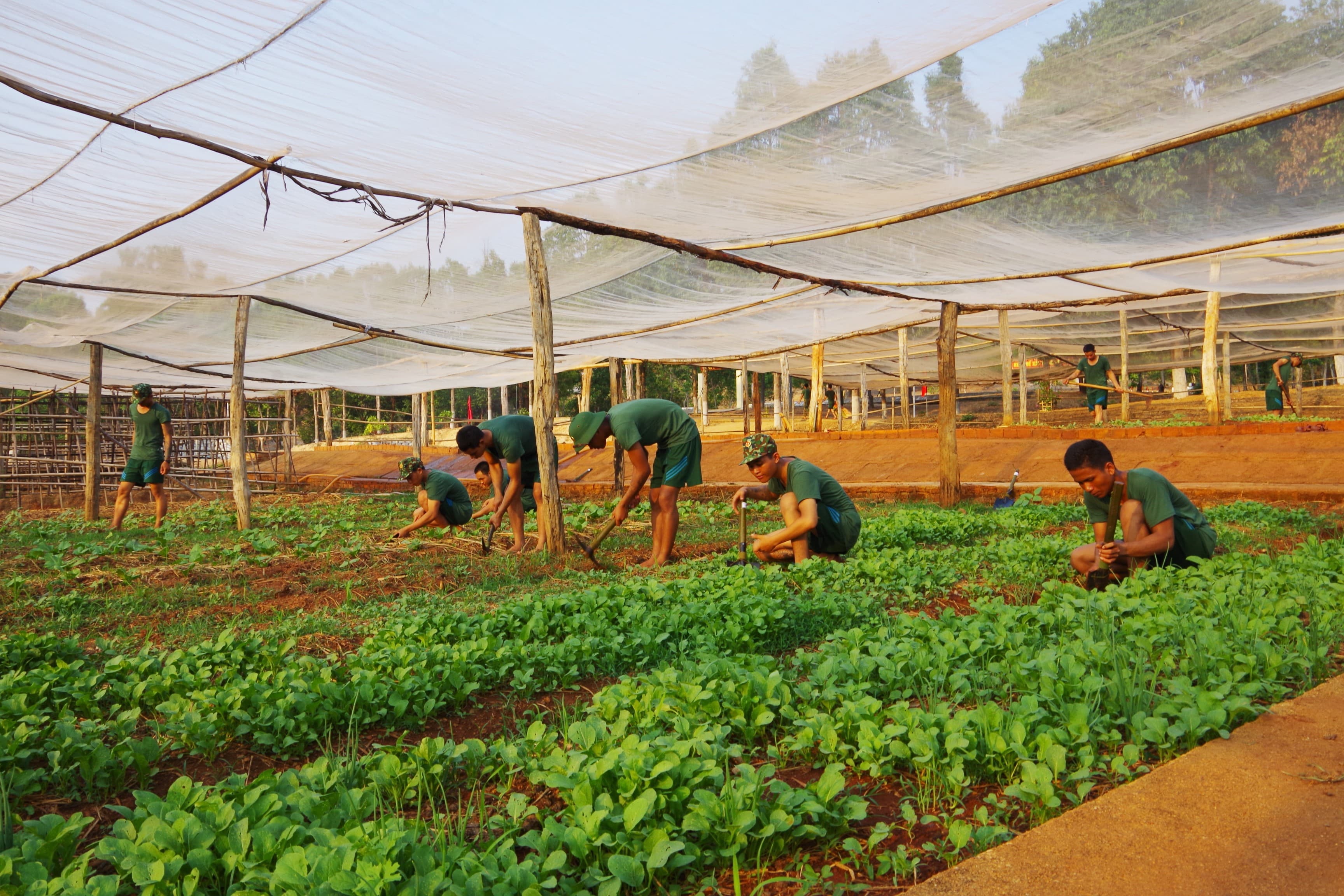 Bảo đảm thực phẩm thời điểm giao mùa