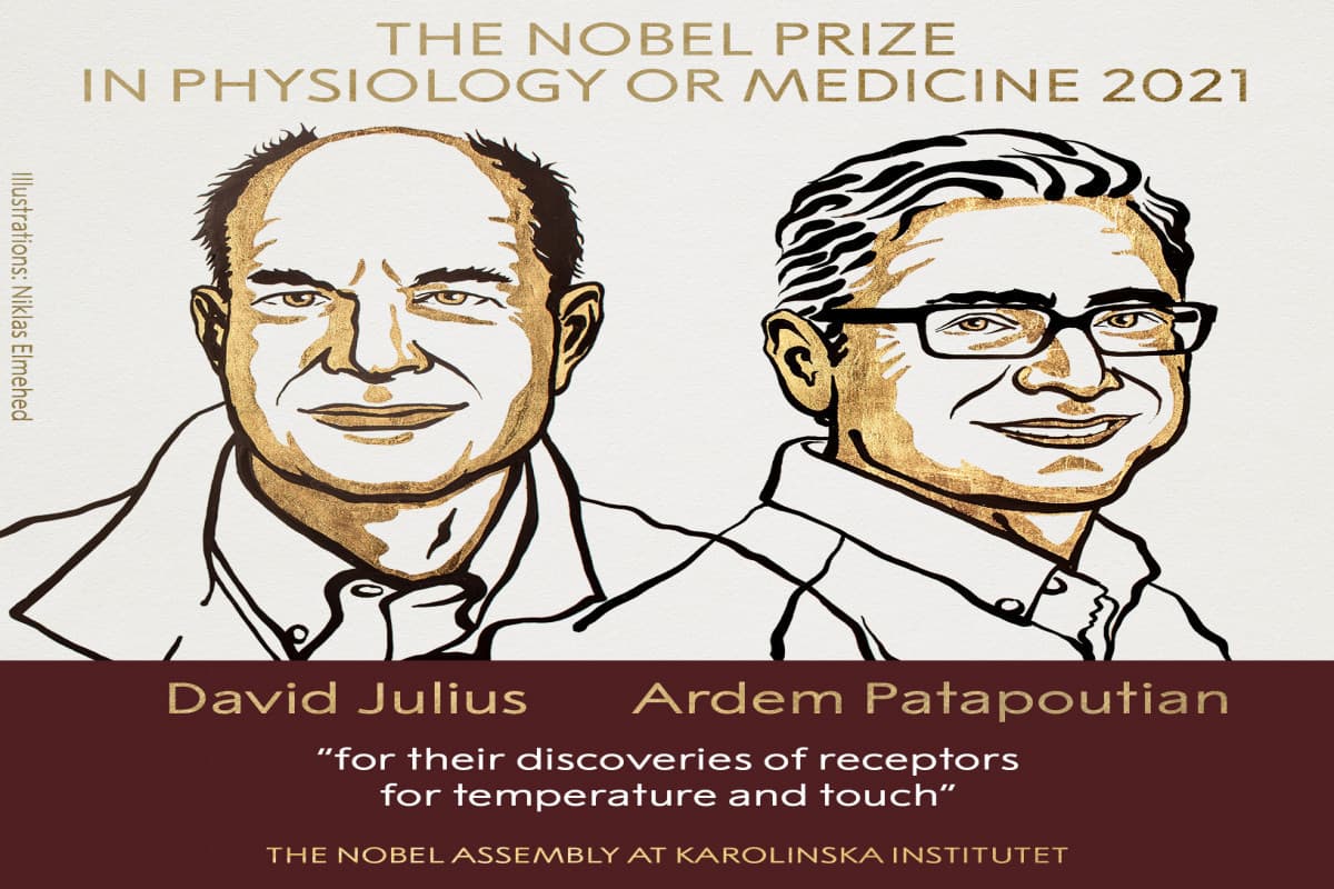 Nobel Y học 2021 được trao cho hai nhà khoa học Mỹ