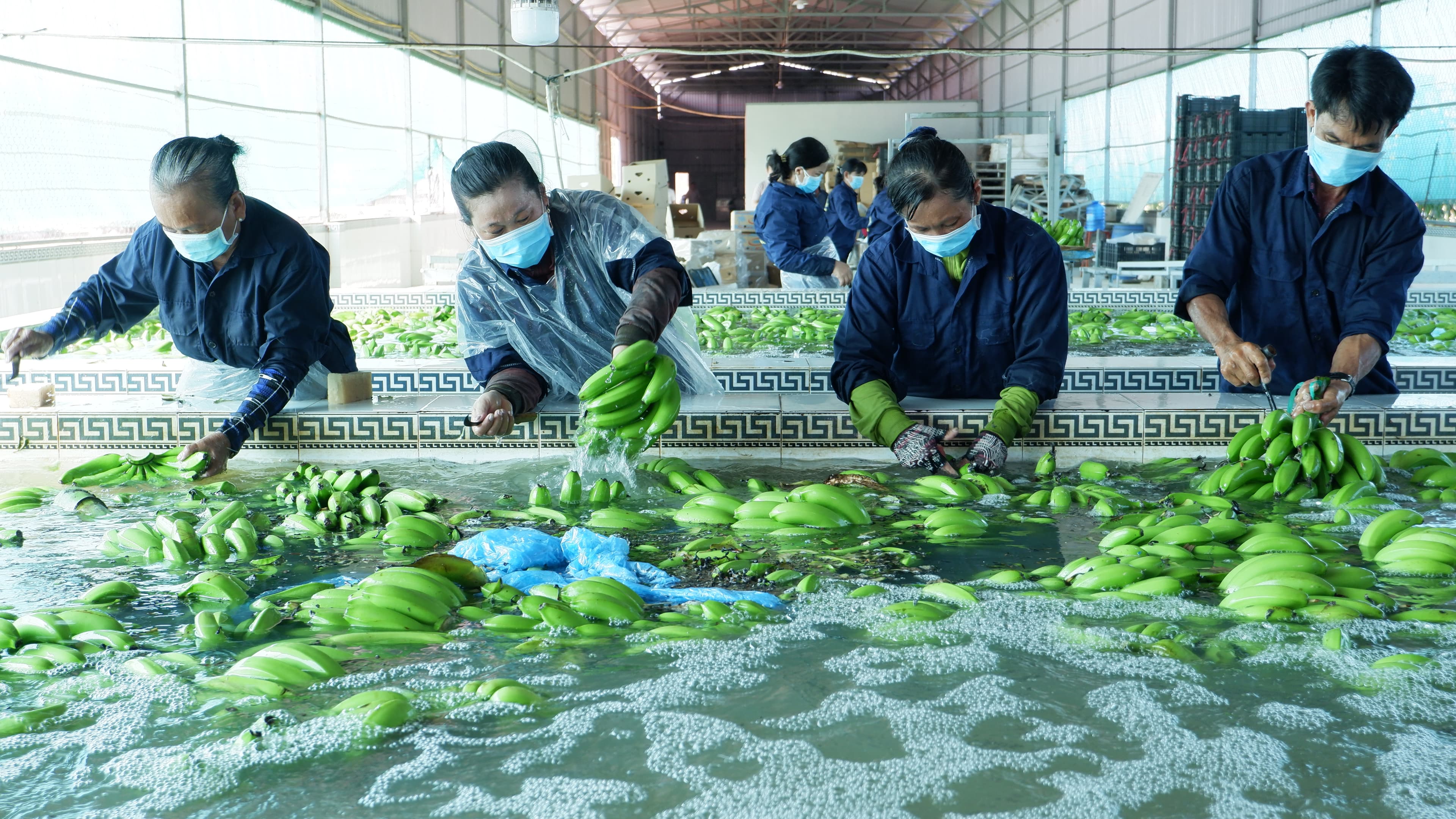 Cơ hội nào để doanh nghiệp ở Đồng bằng sông Cửu Long phục hồi?